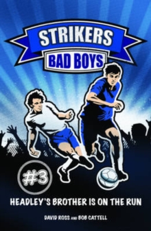 Image for Bad boys