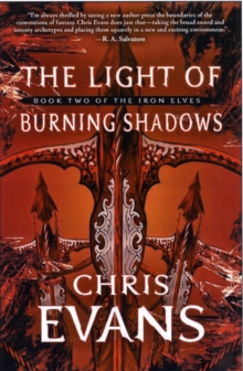 Image for The Light of Burning Shadows