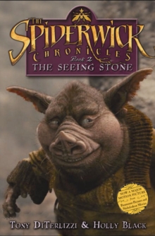 Image for The seeing stone