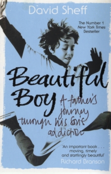 Image for Beautiful boy  : a father's journey through his son's meth addiction