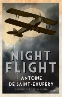 Image for Night flight