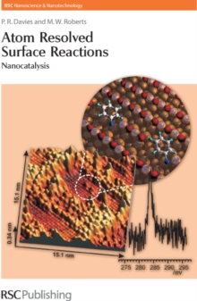 Image for Atom resolved surface reactions: nanocatalysis