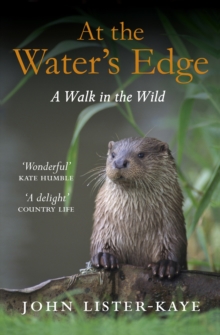 At the Water’s Edge: A Walk in the Wild