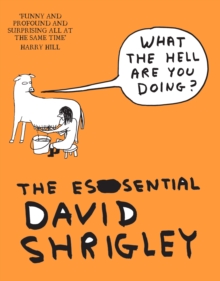 Image for What the hell are you doing?  : the essential David Shrigley
