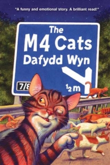Image for The M4 Cats