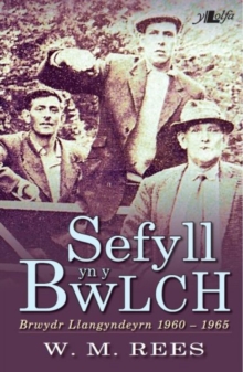 Image for Sefyll yn y Bwlch - Brwydr Llangyndeyrn 1960-1965