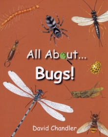 Image for All About Bugs