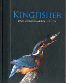 Image for Kingfisher