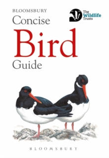 Image for Concise bird guide