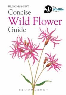 Image for Concise wild flower guide