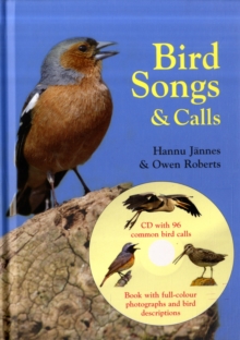 Image for Bird Songs & Calls