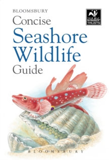 Image for Concise Seashore Wildlife Guide