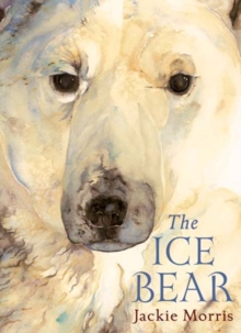 Image for The ice bear