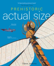 Image for Prehistoric actual size