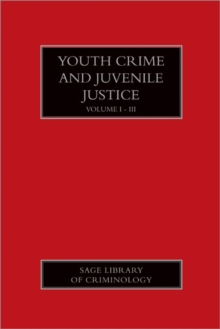 Image for Youth Crime and Juvenile Justice