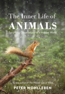 Inner Life of Animals