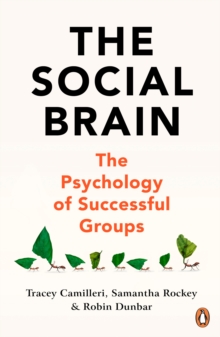 Image for The social brain  : the psychology of successful groups