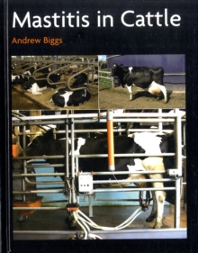 Image for Mastitis in cattle