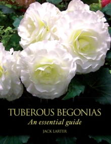 Tuberous Begonias: An Essential Guide