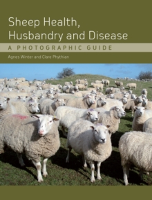 Image for Sheep Health, Husbandry and Disease