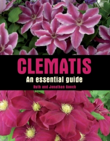 Clematis: An Essential Guide