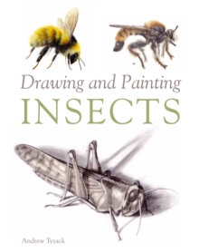 Image for Drawing and painting insects