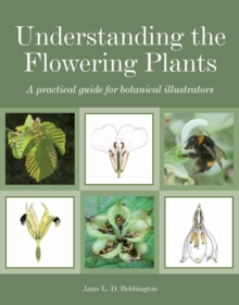 Image for Understanding the flowering plants: a practical guide for botanical illustrators