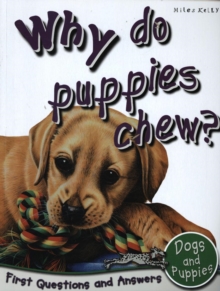 Image for Why do puppies chew?