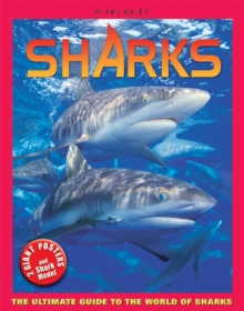 Image for Shark's poster book