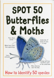 Image for Spot 50 butterflies & moths