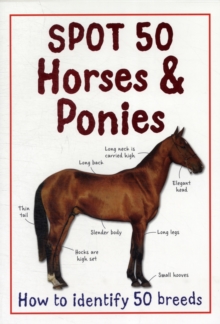 Image for Spot 50 horses & ponies