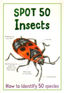 Image for Spot 50 insects