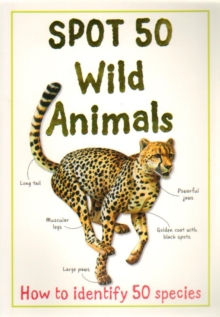 Image for Spot 50 wild animals