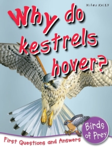 Image for Why do kestrels hover?