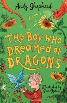 Image for The boy who dreamed of dragons