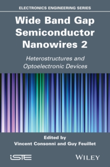 Wide Band Gap Semiconductor Nanowires 2