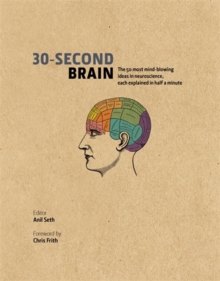 Image for 30-second brain  : the 50 most mind-blowing ideas in neuroscience, each explained in half a minute