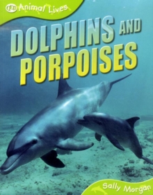 Image for Dolphins and Porpoises