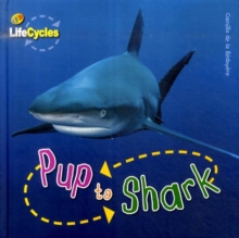 Image for Lifecycles: Pup to Shark