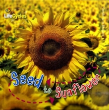 Image for Seed to Sunflower