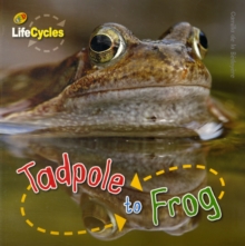 Image for Tadpole to frog