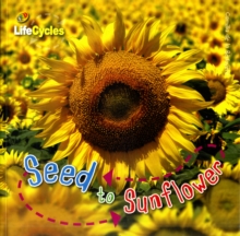 Image for Lifecycles: Seed to Sunflower