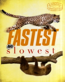 Image for Fastest and slowest