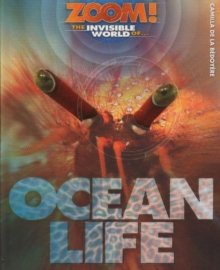 Image for The invisible world of-- ocean life