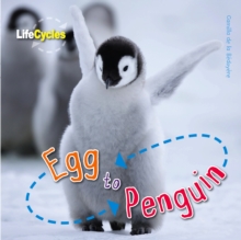 Image for Egg to penguin
