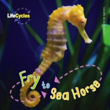 Image for Fry to sea horse