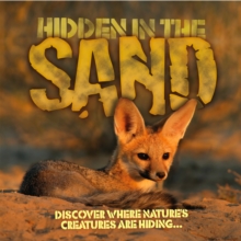 Image for Hidden in the sand