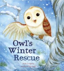 Image for Owl's winter rescue