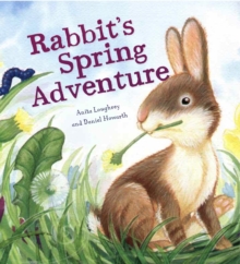 Image for Rabbit's spring adventure