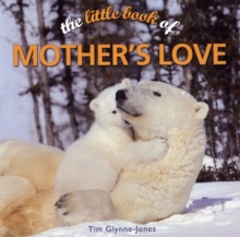 Image for The little book of mother's love
